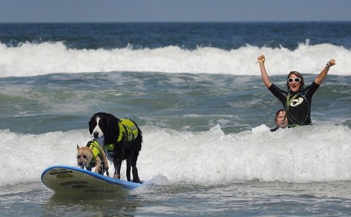 Surf Dog Championship 2011, Coronado Bay Resort, California, United States