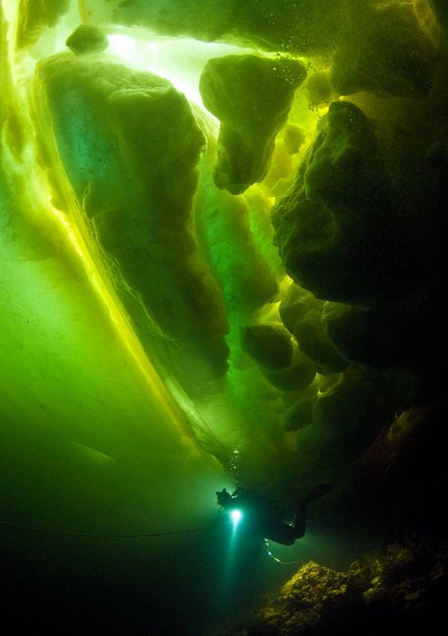 Underwater world with Natalia Avseenko, The White Sea, Russia