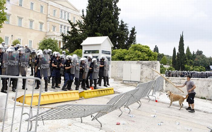 Loukanikos, the riot dog