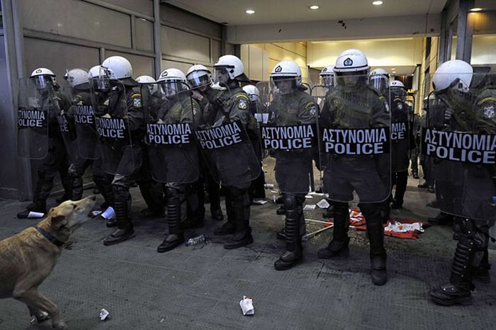 Loukanikos, the riot dog