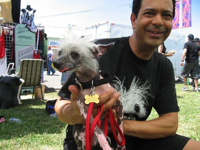 World's Ugliest Dog Contest 2011, Petaluma, California, United States