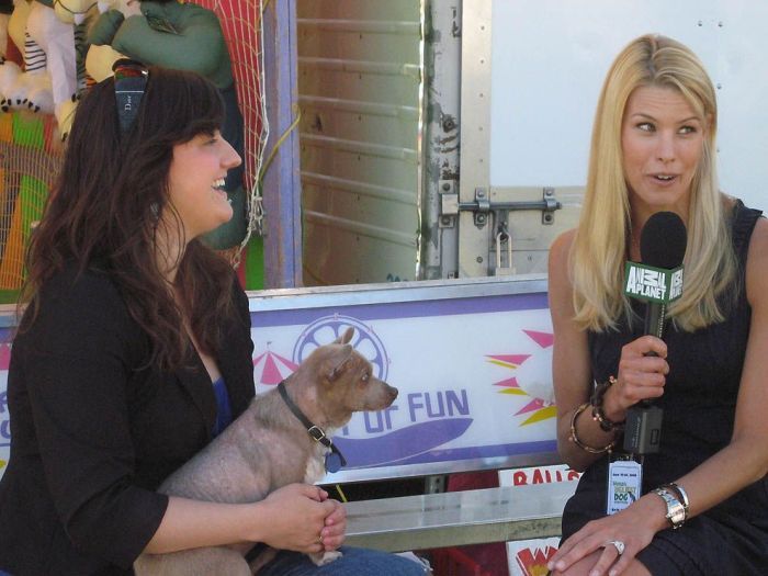 World's Ugliest Dog Contest 2011, Petaluma, California, United States