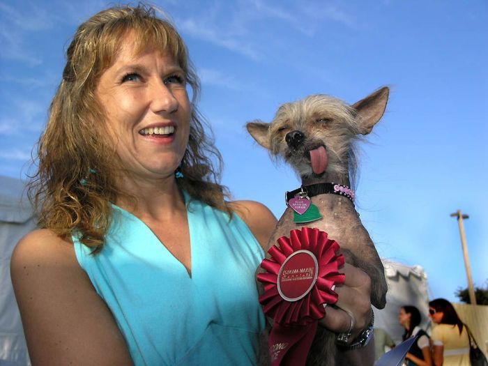 World's Ugliest Dog Contest 2011, Petaluma, California, United States
