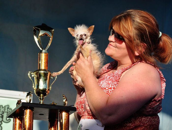 World's Ugliest Dog Contest 2011, Petaluma, California, United States