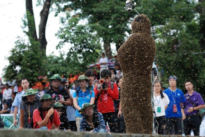 Bee bearding competition, China