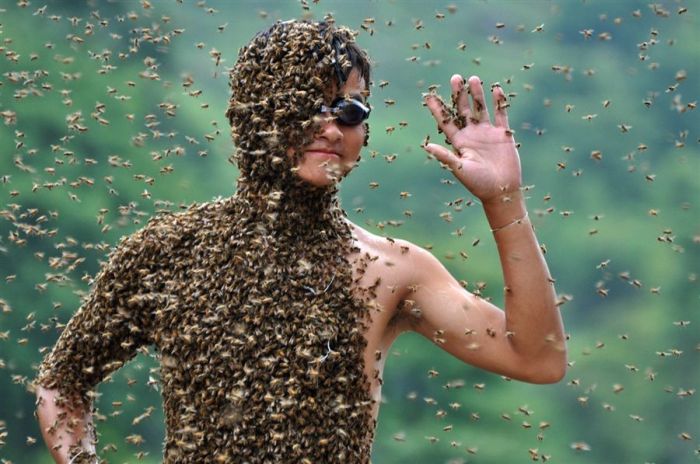 Bee bearding competition, China