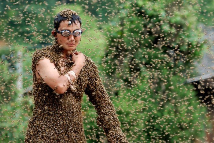 Bee bearding competition, China