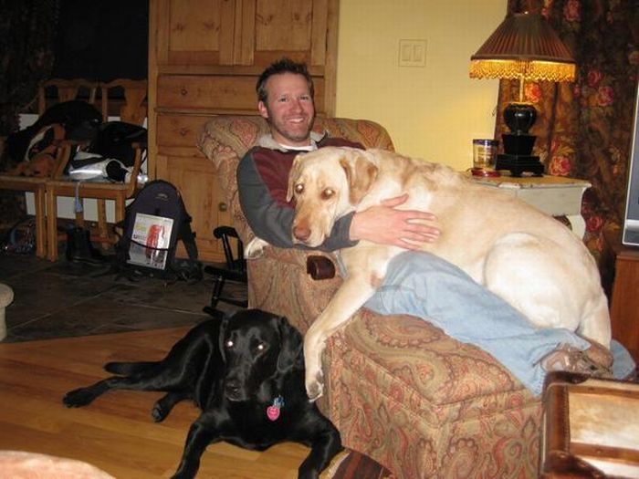 dog, a man's best friend