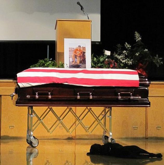 friends for life, dog misses his military dad