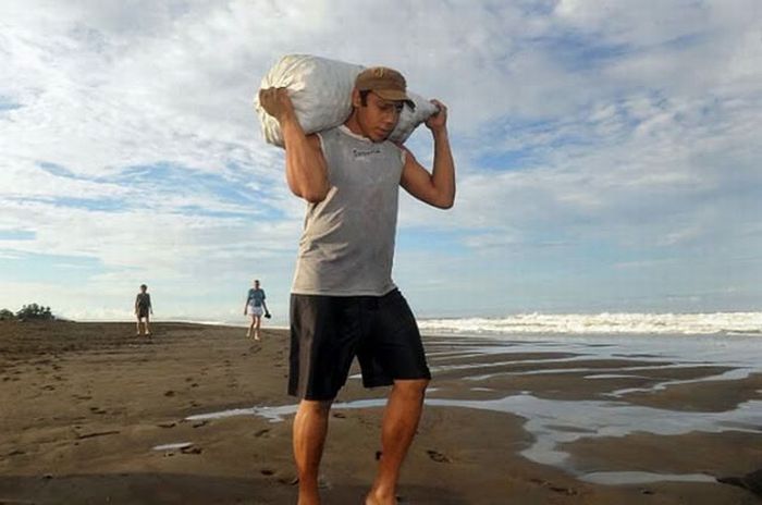 Harvesting Sea Turtle eggs, Costa Rica