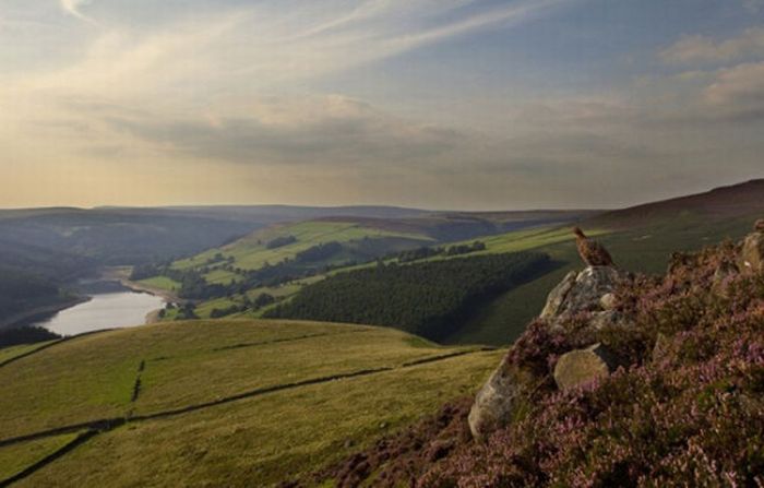 British Wildlife Photography Awards 2011