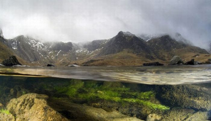 British Wildlife Photography Awards 2011