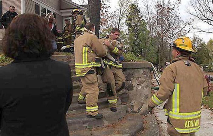 Firefighters resuscitate a dog by mouth-to-snout insufflation, Wasau, Wisconsin, United States