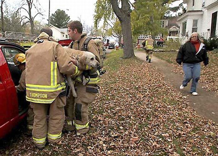 Firefighters resuscitate a dog by mouth-to-snout insufflation, Wasau, Wisconsin, United States
