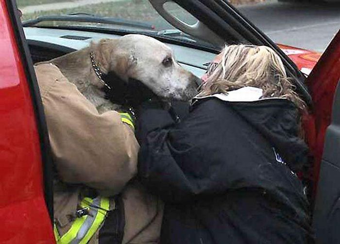 Firefighters resuscitate a dog by mouth-to-snout insufflation, Wasau, Wisconsin, United States