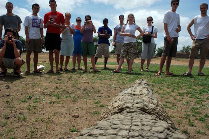 Sacred Crocodile ponds, Paga, Bolgatanga, Ghana