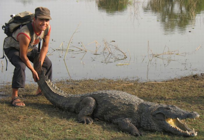 Sacred Crocodile ponds, Paga, Bolgatanga, Ghana