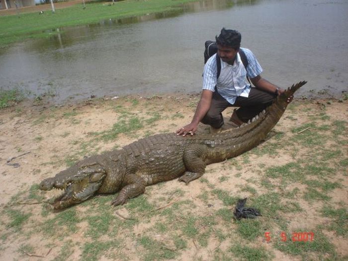 Sacred Crocodile ponds, Paga, Bolgatanga, Ghana