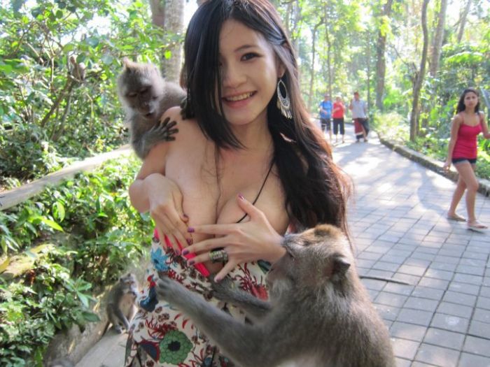 monkeys like the girl