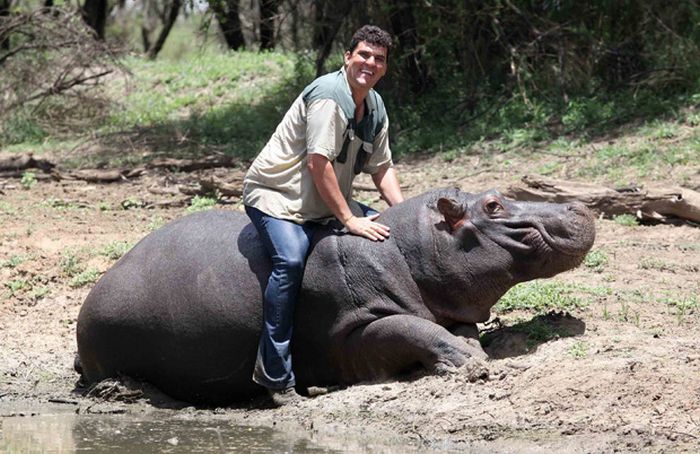 Marius Els killed by his pet hippo Humphrey, South Africa