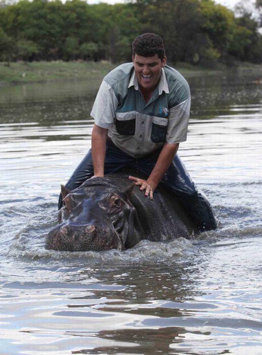 Marius Els killed by his pet hippo Humphrey, South Africa