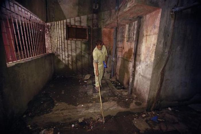 Rat-catching, Mumbai, India