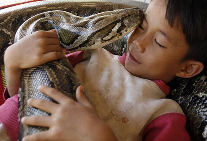 Oun Sambvath and Cham Roeun, boy with his python friend, Set-Tbau, Cambodia