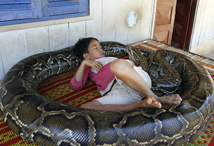 Oun Sambvath and Cham Roeun, boy with his python friend, Set-Tbau, Cambodia