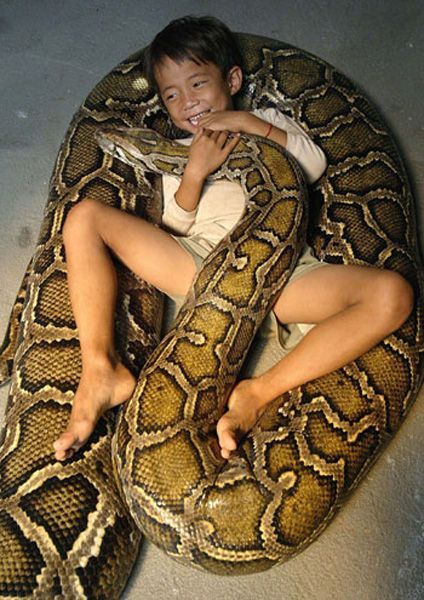 Oun Sambvath and Cham Roeun, boy with his python friend, Set-Tbau, Cambodia