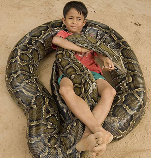 Oun Sambvath and Cham Roeun, boy with his python friend, Set-Tbau, Cambodia