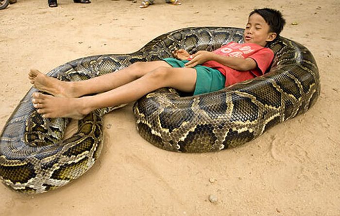 Oun Sambvath and Cham Roeun, boy with his python friend, Set-Tbau, Cambodia