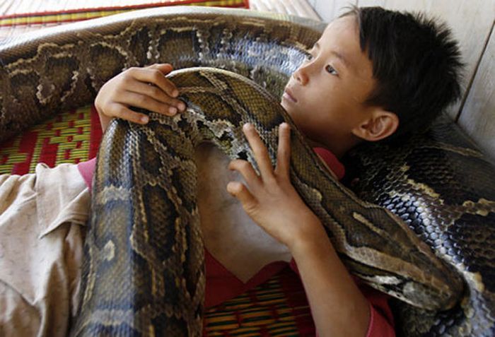 Oun Sambvath and Cham Roeun, boy with his python friend, Set-Tbau, Cambodia