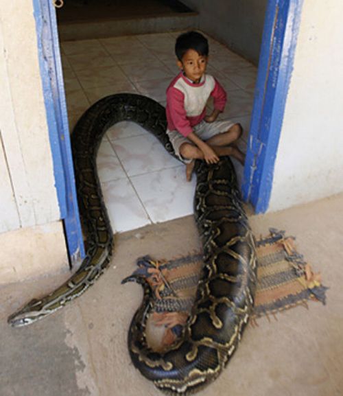 Oun Sambvath and Cham Roeun, boy with his python friend, Set-Tbau, Cambodia