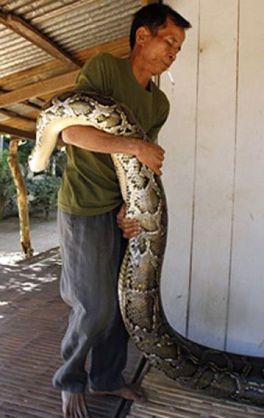 Oun Sambvath and Cham Roeun, boy with his python friend, Set-Tbau, Cambodia