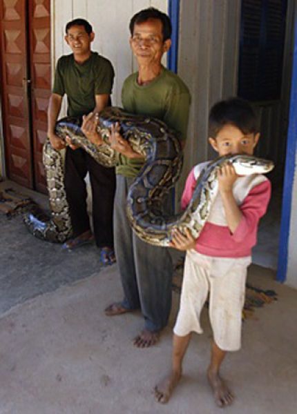 Oun Sambvath and Cham Roeun, boy with his python friend, Set-Tbau, Cambodia