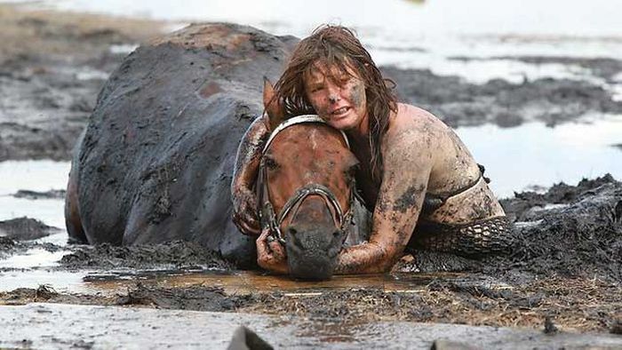 Rescuing a horse stuck in mud, Avalon Beach, Corio Bay, Victoria, Australia