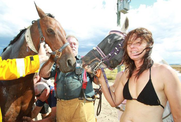 Rescuing a horse stuck in mud, Avalon Beach, Corio Bay, Victoria, Australia