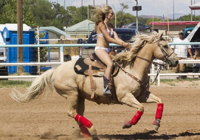 girl with a horse