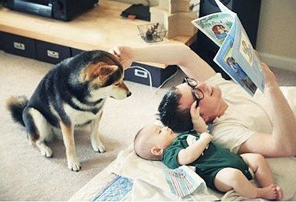 dog and the child friends