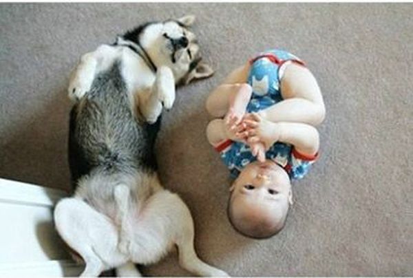 dog and the child friends