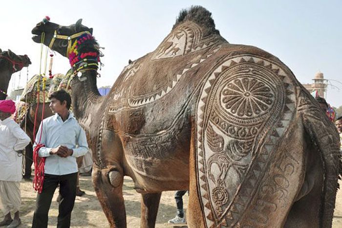 camel hair art