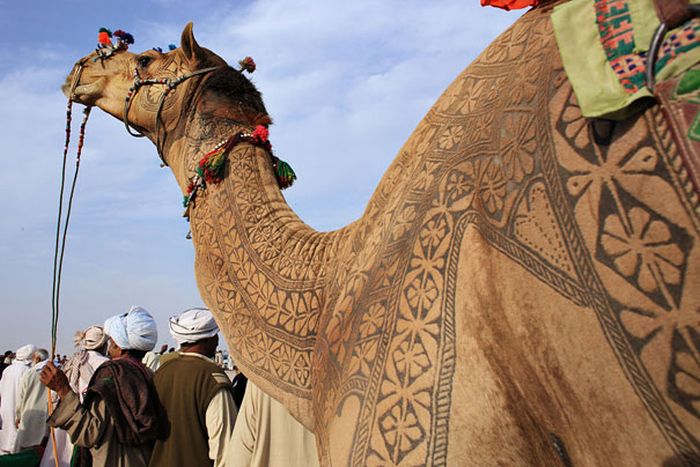 camel hair art