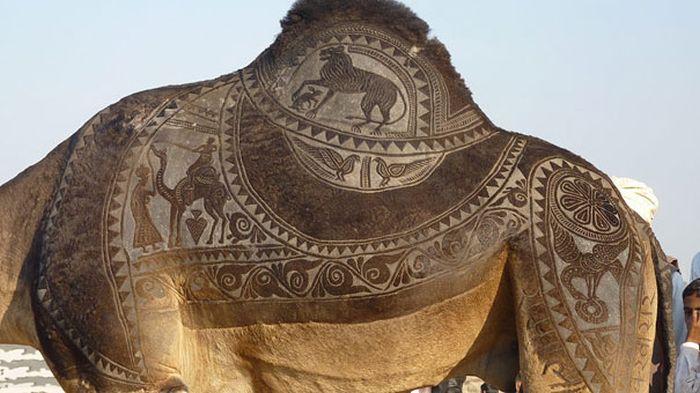 camel hair art