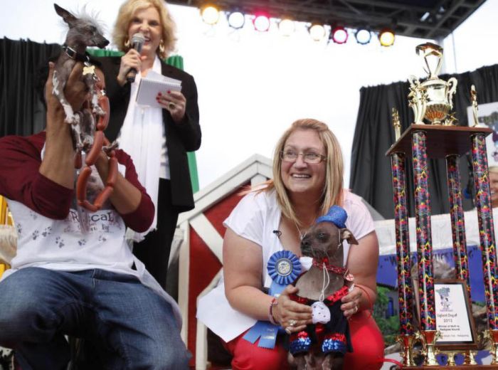 World's Ugliest Dog Contest 2012, Petaluma, California, United States