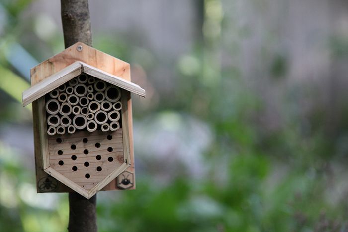 bee insect hotel structure