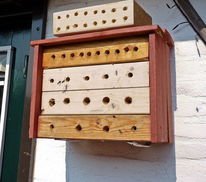 bee insect hotel structure