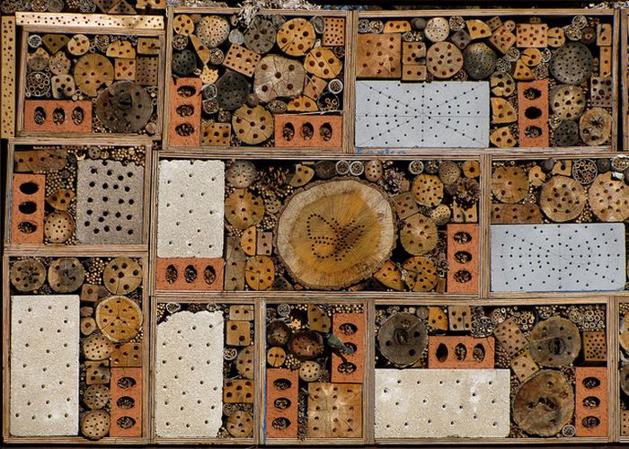 bee insect hotel structure