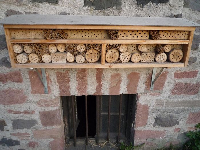 bee insect hotel structure