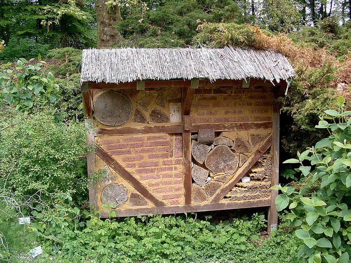 bee insect hotel structure