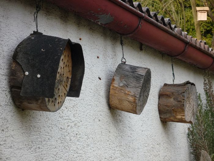 bee insect hotel structure